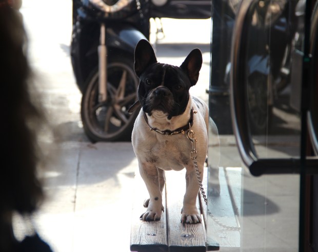 8642030502_b54e102cbe_k